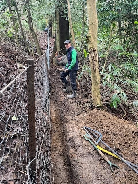 Gardeners arranging fencing to protect flowers