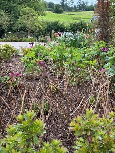 Plants surrounded by guards