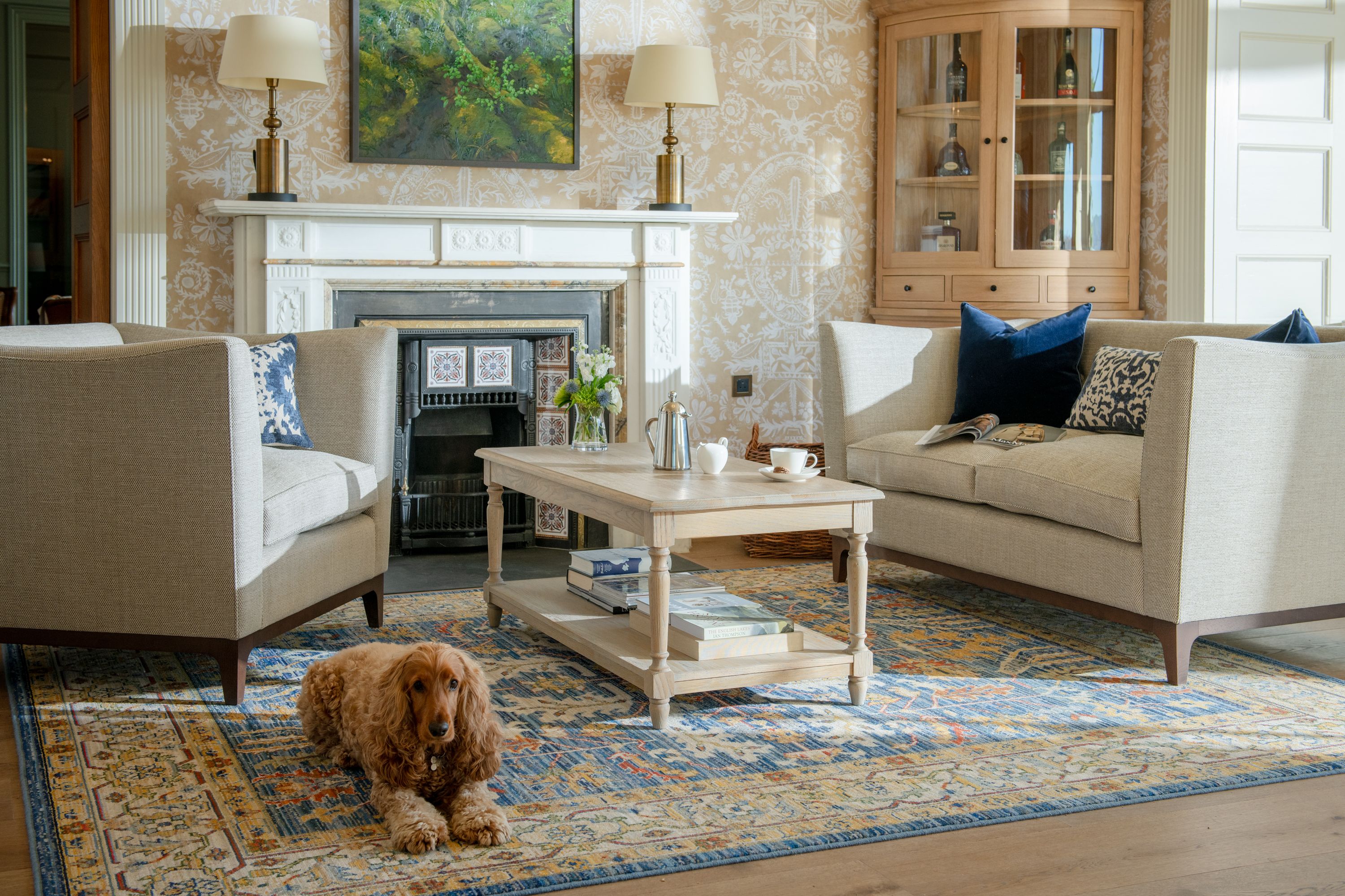 Cocker Spaniel sat in lounge area