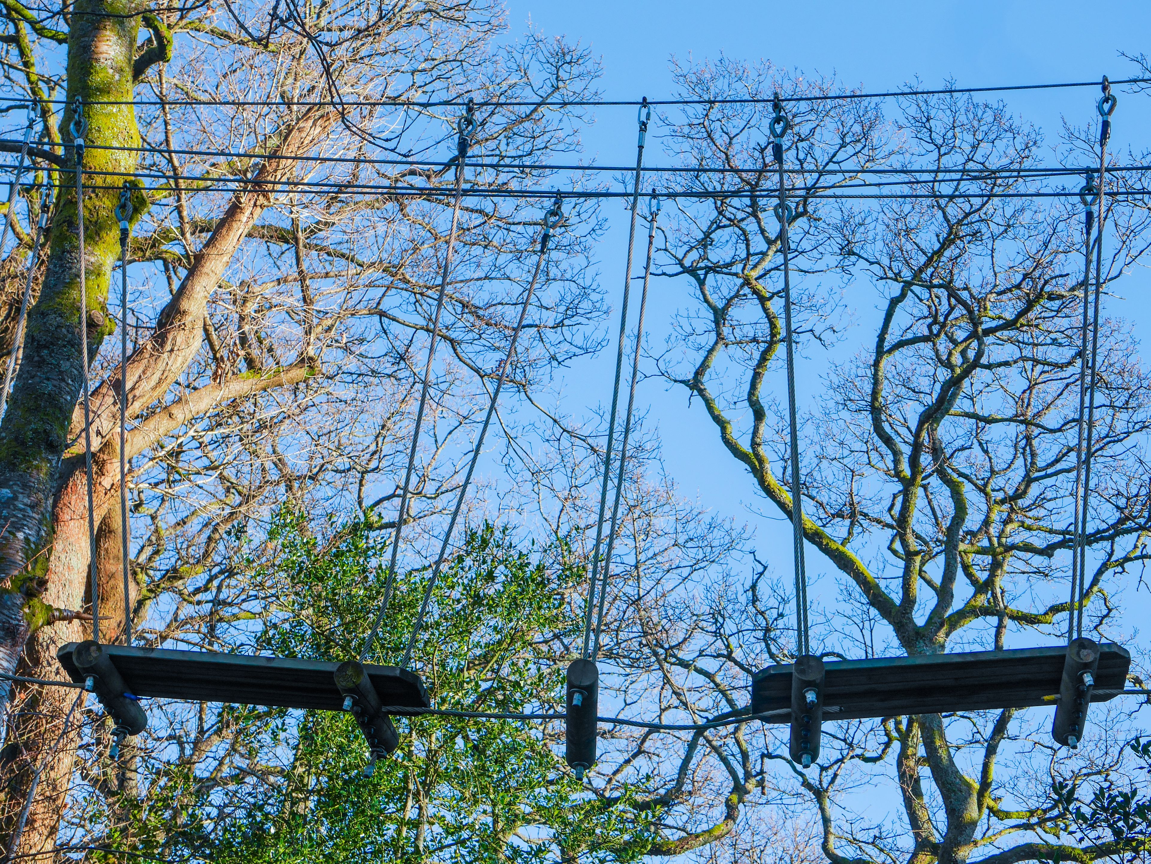 Brockhole's Treetop Adventure