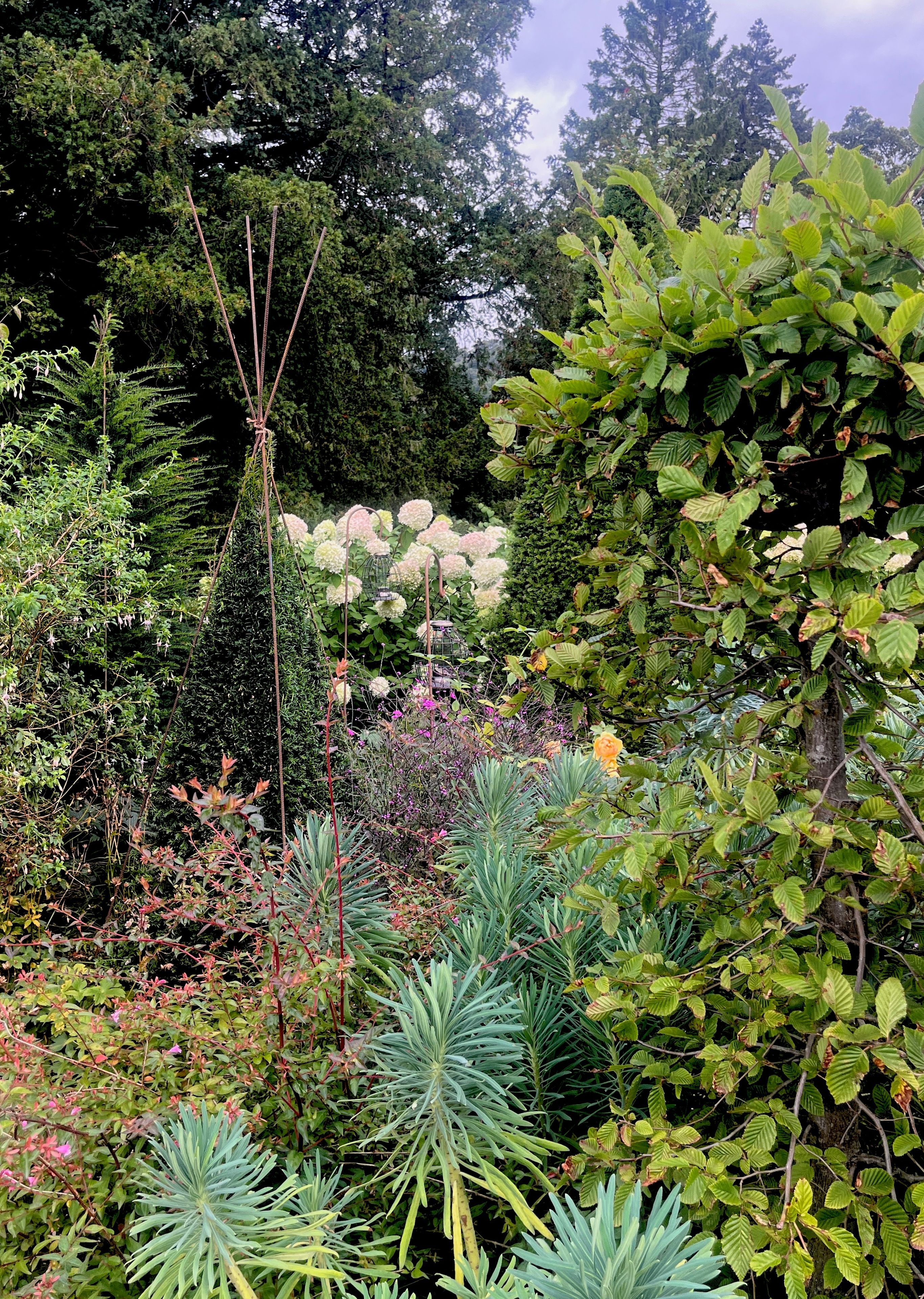 Flower garden