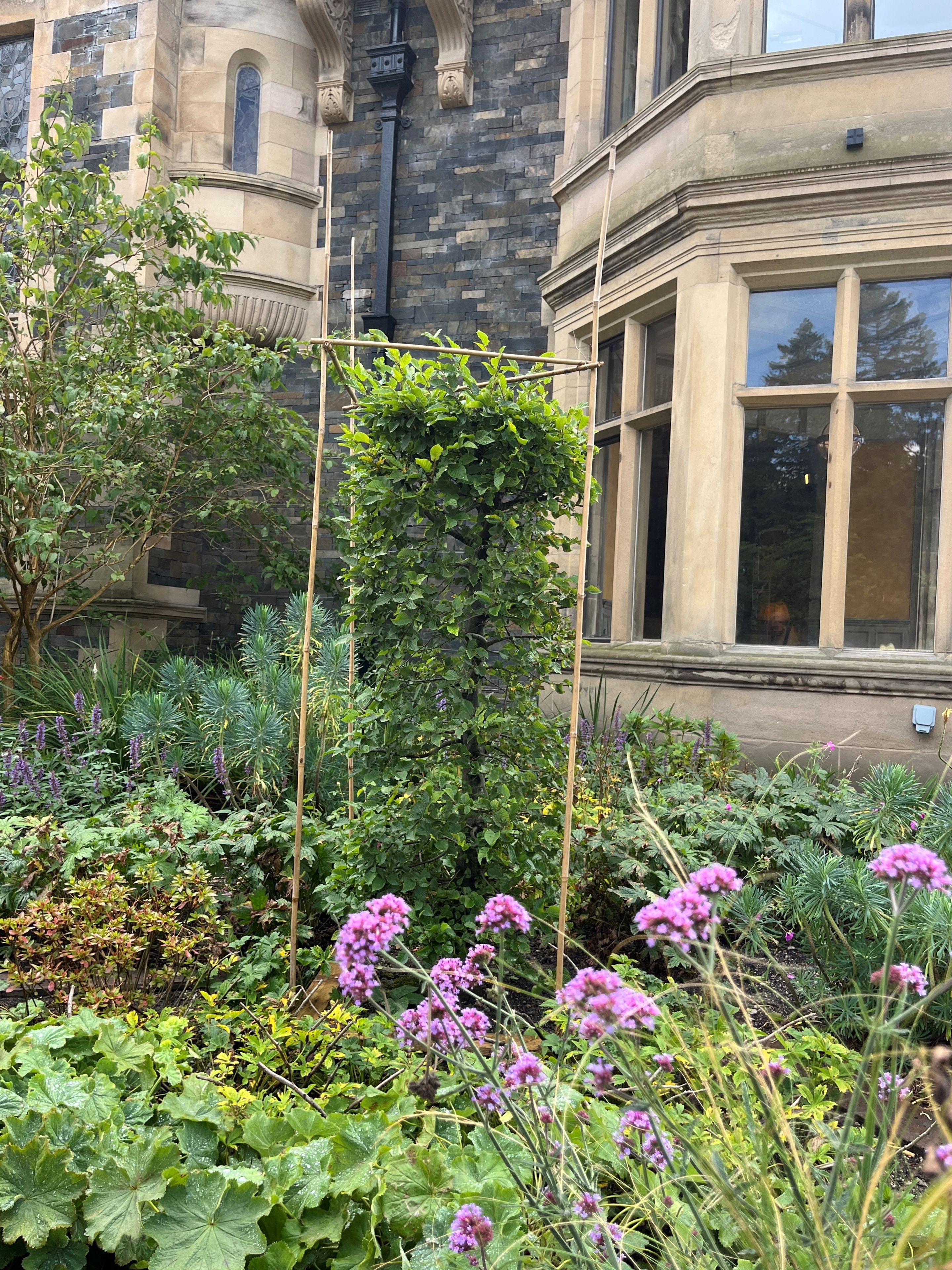 Flower bed