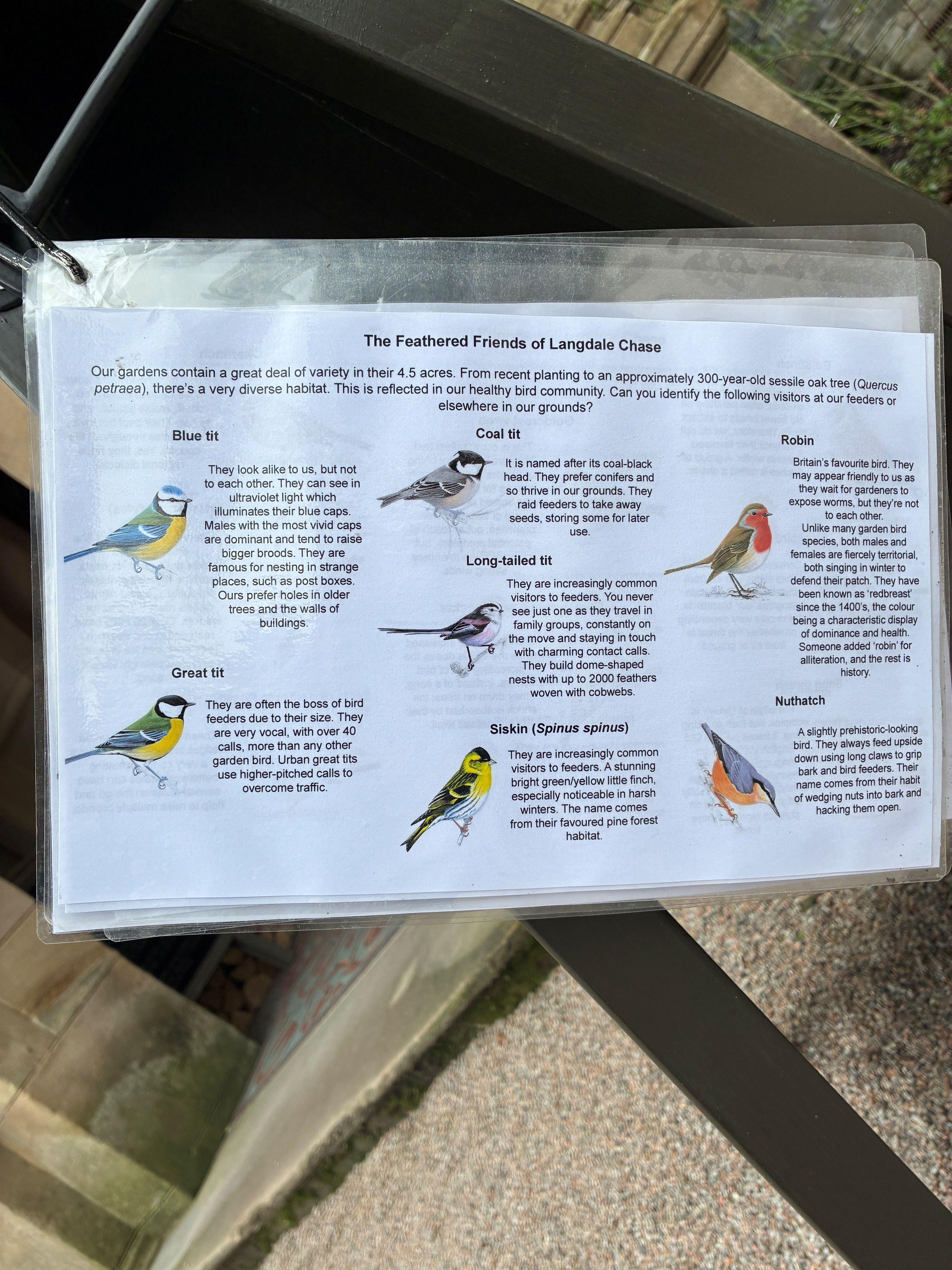 Leaflet key of common birds found at Langdale Chase